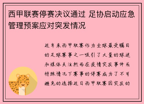 西甲联赛停赛决议通过 足协启动应急管理预案应对突发情况