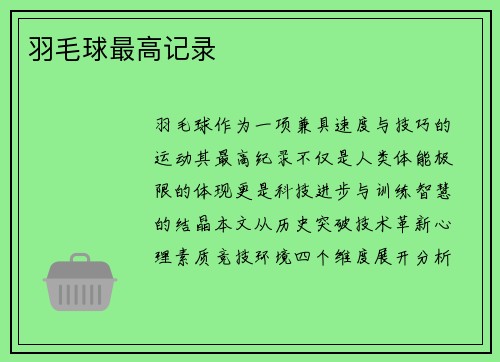 羽毛球最高记录